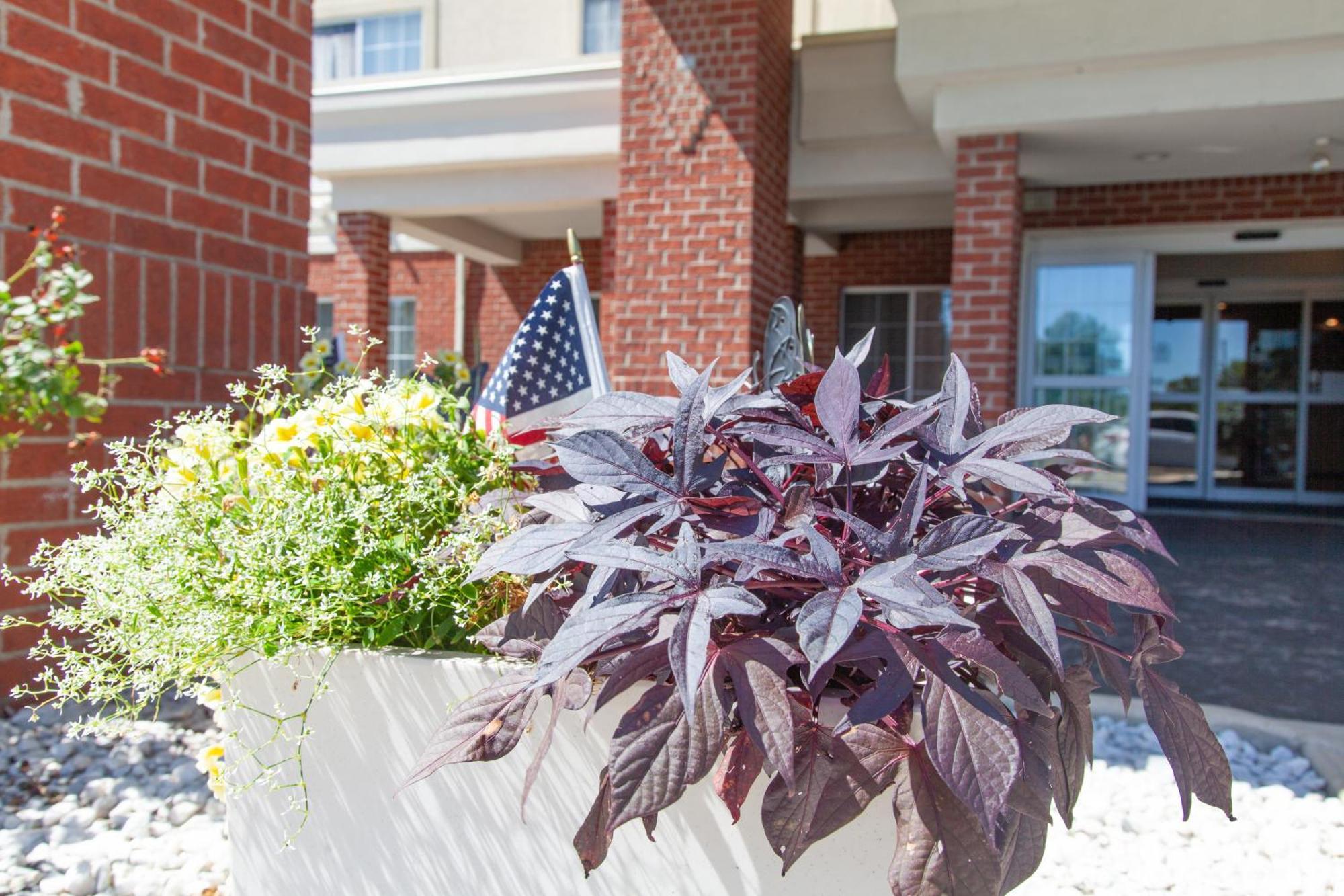 Holiday Inn Express Jackson By Ihg Exterior photo